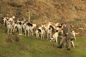 Fox hunting on the fells images by Betty Fold Gallery